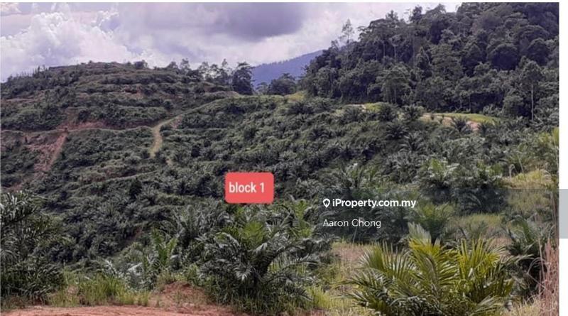 Agricultural Land for Sale in Ranau, Sabah by Aaron Chong - iProperty.com.my