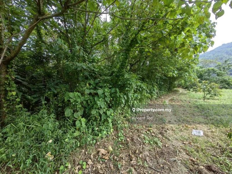 Tanah Pertanian untuk Dijual di Kampung Sungai Lalang, Semenyih oleh Vincent Tee - iProperty.com.my