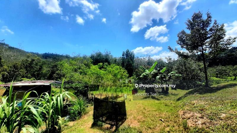 Tanah Pertanian untuk Dijual di Kampung Renal, Kuala Klawang oleh Vincent Tee - iProperty.com.my