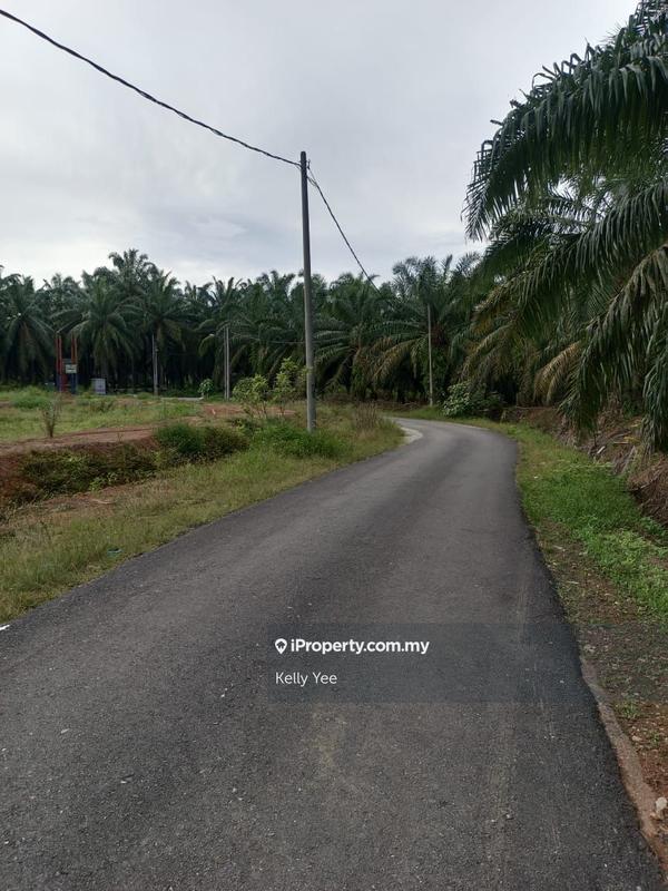 Tanah Pertanian untuk Dijual di Palm Oil Plantation @ Kulim for Sale, Kulim oleh Kelly Yee - iProperty.com.my