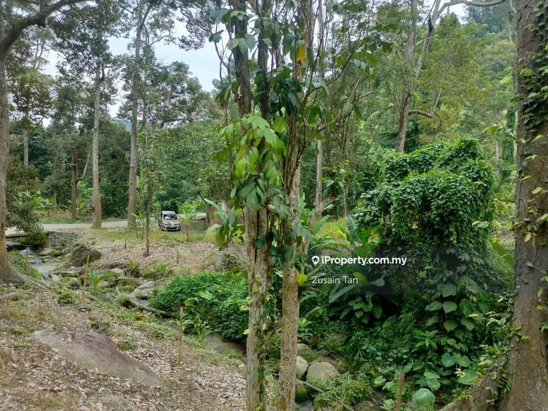 Agricultural Land for Sale in Kampung Titi Serong, Balik Pulau by Zusain Tan - iProperty.com.my