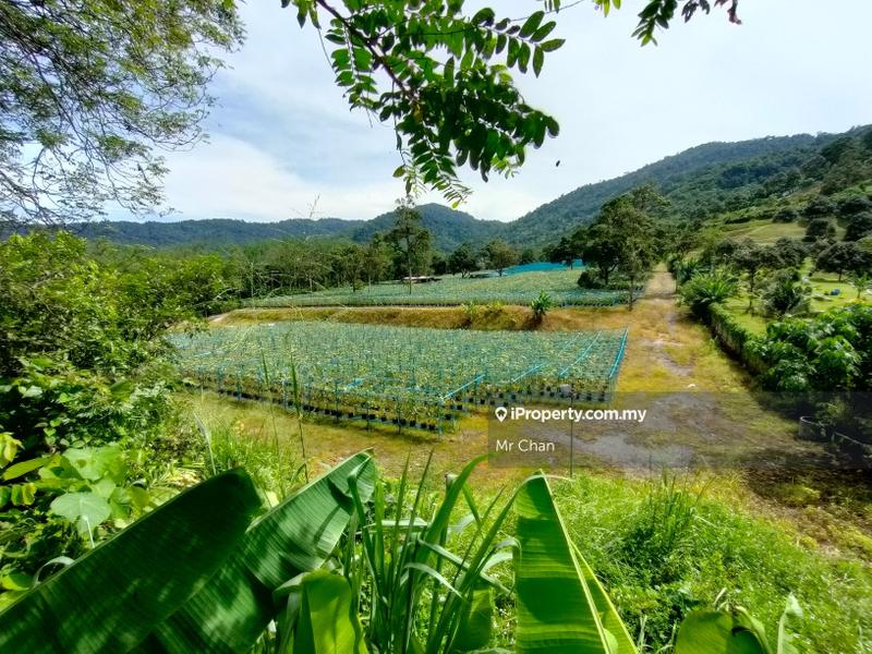 For Sale - Commercial Land & Bungalow