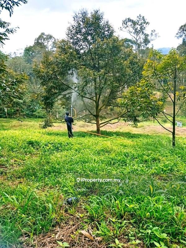 Tanah Pertanian untuk Dijual di Negeri Sembilan , Titi, Titi oleh Kew - iProperty.com.my