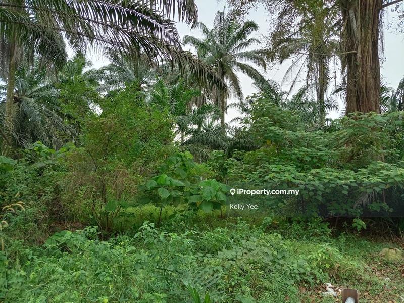 Tanah Kediaman untuk Dijual di Sungai Jawi, Penang oleh Kelly Yee - iProperty.com.my