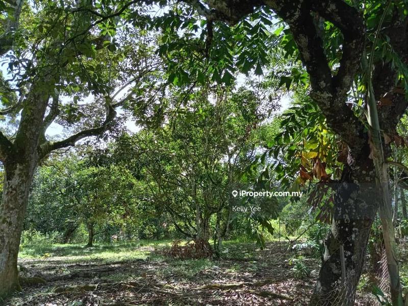 Tanah Pertanian untuk Dijual di Agriculture Land @ Labu Besar, Kulim for Sale, Kulim oleh Kelly Yee - iProperty.com.my