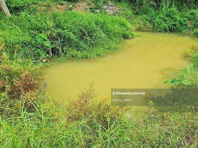 Agricultural Land for Sale in Sungai Dua, Sabai by Sherlyn Yeoh - iProperty.com.my