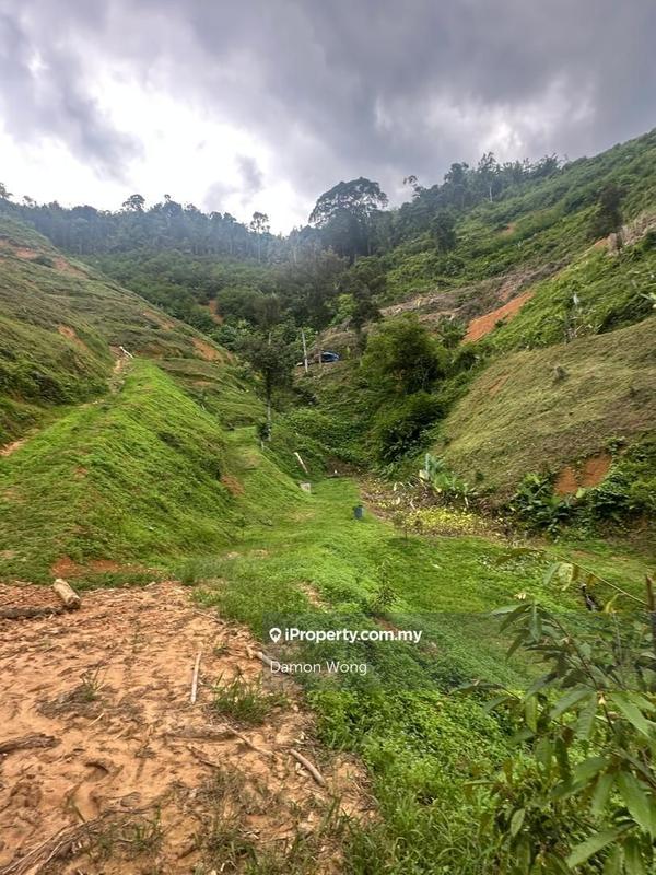 For Sale - 6.3 acres young durian