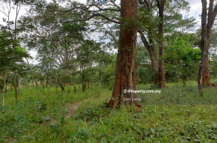 Agricultural Land for Sale in Pekan Nenas, Jeram Batu by Elvis Liang - iProperty.com.my