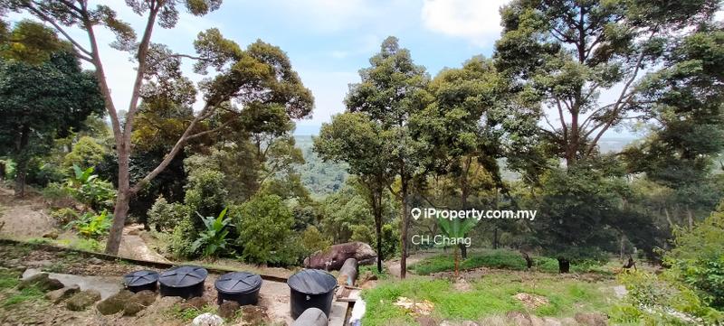 Tanah Pertanian untuk Dijual di Balik Pulau, George Town oleh CH Chang - iProperty.com.my