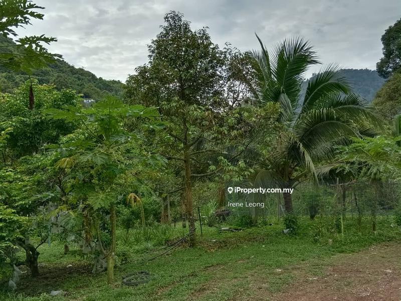 Agricultural Land for Sale in Raub, Pahang by Irene Leong - iProperty.com.my