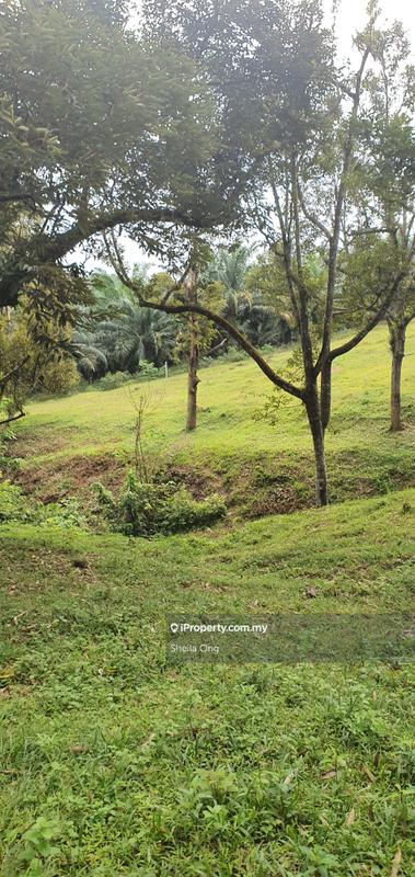 Tanah Pertanian untuk Dijual di Nilai, Negeri Sembilan oleh Sheila Ong - iProperty.com.my