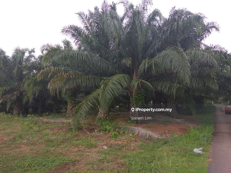 Agricultural Land for Sale in Taman Satu Krubong, Krubong by Steven Lim - iProperty.com.my