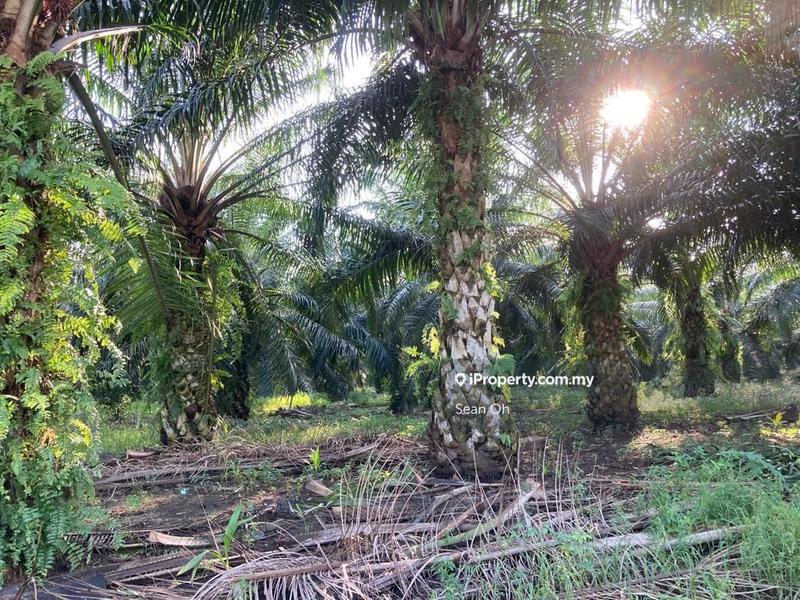 For Sale - Industrial Zoning Land with access for sales Valdor Sungai Bakap Jawi Batu Kawan Industrial Penang