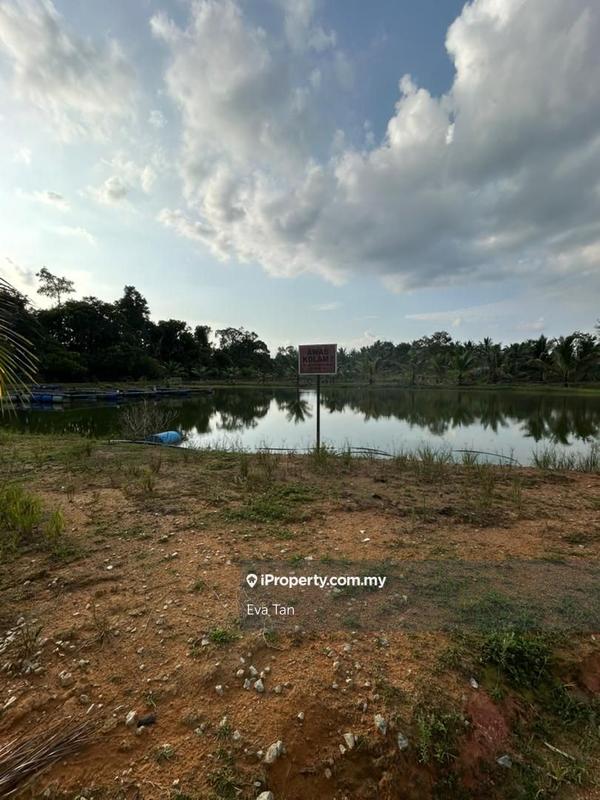 Agricultural Land for Sale in Kuala Sedili, Mawai, Kota Tinggi by Eva Tan - iProperty.com.my