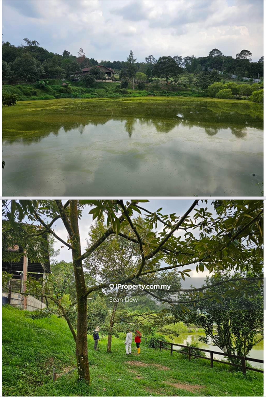 Agricultural Land for Sale in Hulu Langat, Selangor by Sean Liew - iProperty.com.my