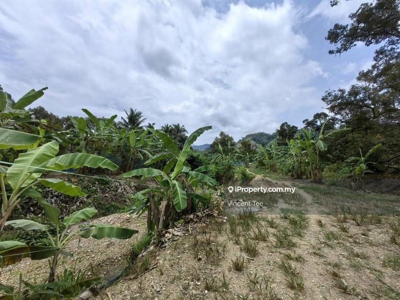 Tanah Pertanian untuk Dijual di Cheroh, Raub oleh Vincent Tee - iProperty.com.my
