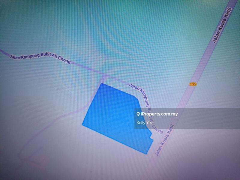 Tanah Pertanian untuk Dijual di Palm Oil Plantation @ Kulim for Sale, Kulim oleh Kelly Yee - iProperty.com.my