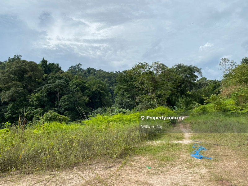 Agricultural Land for Sale in Gopeng, Perak by William Ng - iProperty.com.my