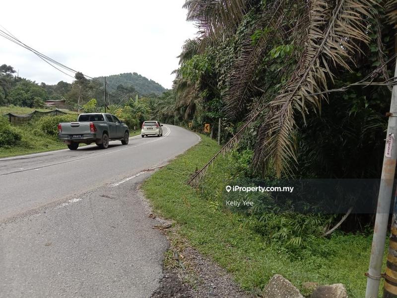 Agricultural Land for Sale in Sungai Lembu, Bukit Mertajam by Kelly Yee - iProperty.com.my