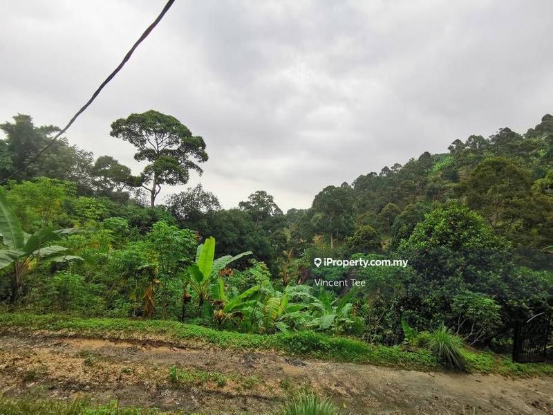 Tanah Pertanian untuk Dijual di Bukit Relau, Balik Pulau oleh Vincent Tee - iProperty.com.my