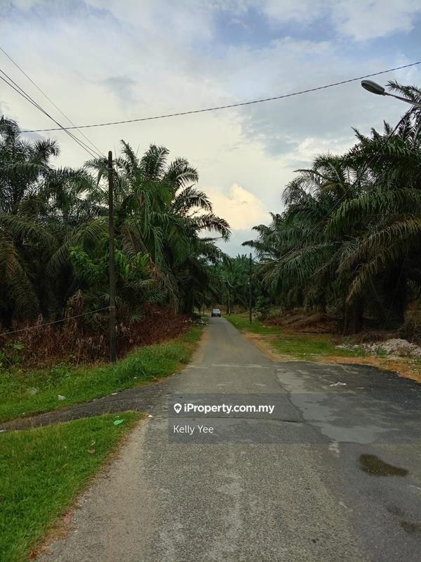 Tanah Pertanian untuk Dijual di Kampung Ladang Sempah, Sungai Jawi oleh Kelly Yee - iProperty.com.my