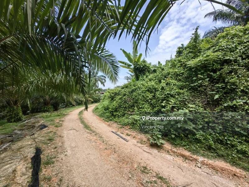For Sale - 5.5 Acres Freehold Hilly Agricultural Land Kuala Sawah Rantau Seremban