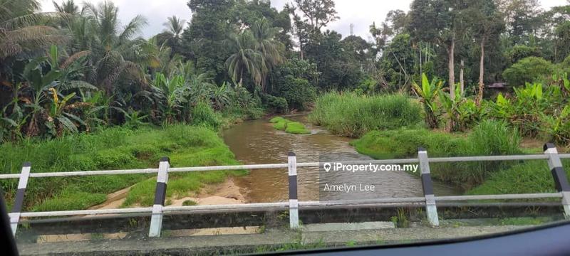 Agricultural Land for Sale in Batu Kurau, Perak by Amelyn Lee - iProperty.com.my