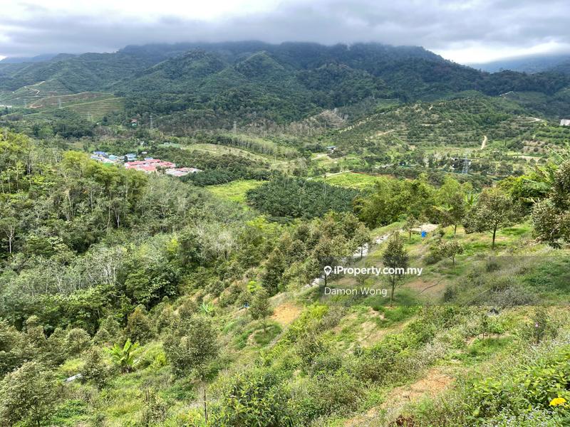 Agricultural Land for Sale in Bandar Tras, Raub by Damon Wong - iProperty.com.my