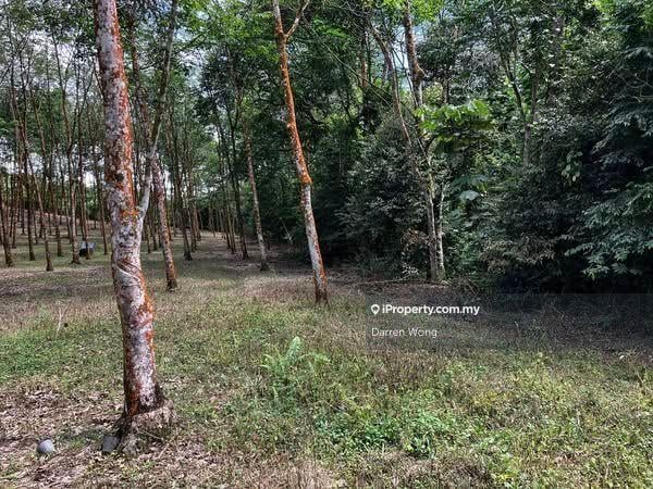 Agricultural Land for Sale in Jalan Ulu Rokan, Johol, Johol by Darren Wong - iProperty.com.my