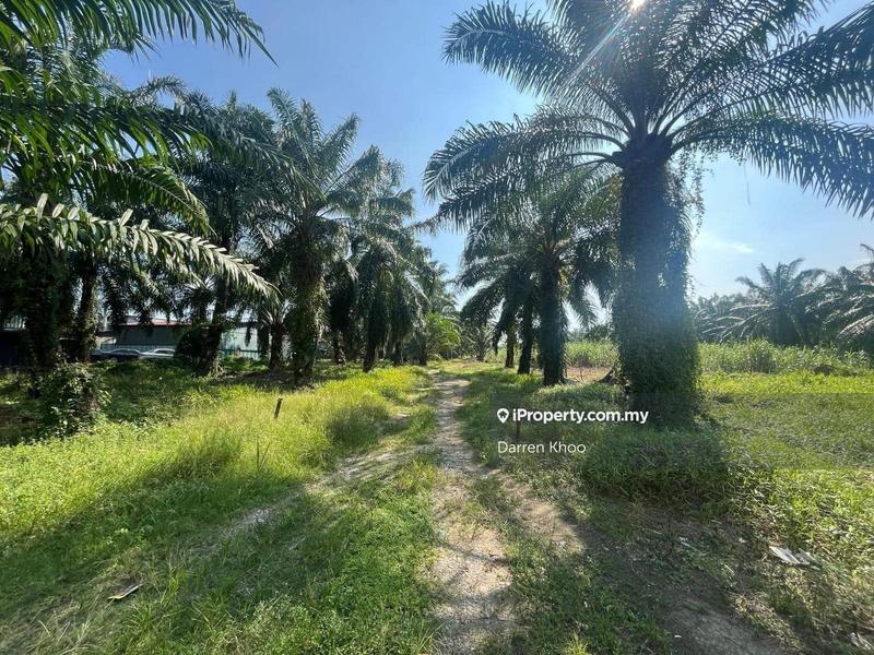 Agricultural Land for Sale in Kampung Teluk Panglima Garang, Telok Panglima Garang by Darren Khoo - iProperty.com.my