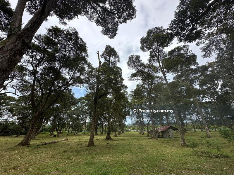 For Sale - 5.8acre Harvested Durian Agricultural Land, Pekan Nanas, Ulu Choh, Pontian, Gelang Patah