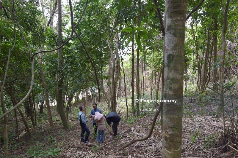 Agricultural Land for Sale in Langkawi, Kuah by Ismael Stork - iProperty.com.my