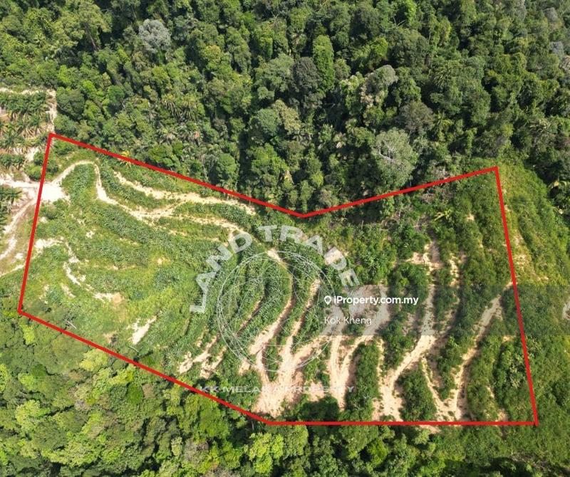 Agricultural Land for Sale in Seremban, Negeri Sembilan by Kok Kheng - iProperty.com.my