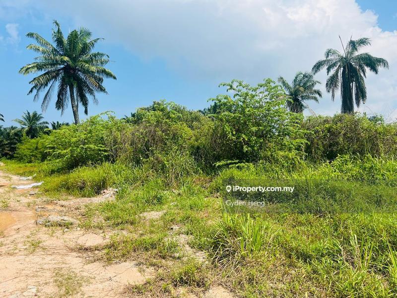 Agricultural Land for Sale in Taman Pontian Jaya, Pontian by Gyden Heng - iProperty.com.my