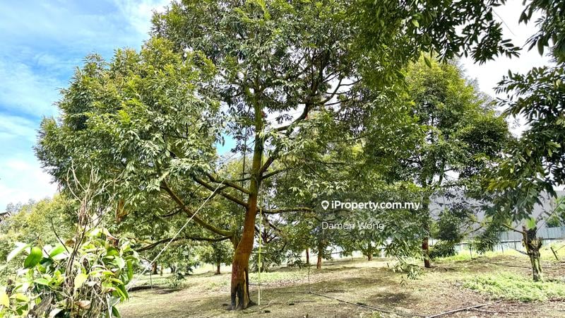 Agricultural Land for Sale in Cinta Manis, Karak by Damon Wong - iProperty.com.my