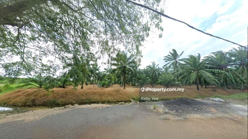 Agricultural Land for Sale in Kampung Baru Sungai Pelek, Sepang by Kelly Yee - iProperty.com.my