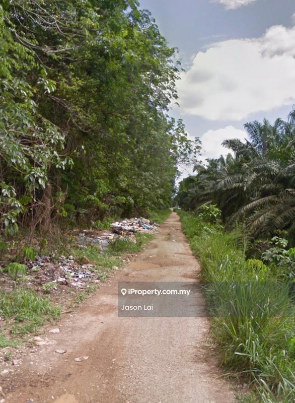Agricultural Land for Sale in Bukit Robinson, Ijok by Jason Lai - Exterior - iProperty.com.my