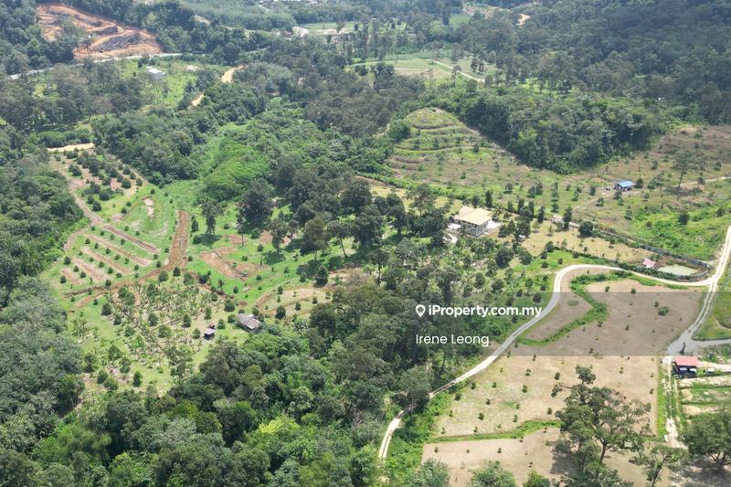 Agricultural Land for Sale in Karak, Pahang by Irene Leong - Exterior - iProperty.com.my