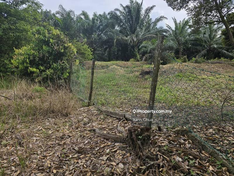 Agricultural Land for Sale in Taman Bemban Baru, Bemban by Xann Chua - iProperty.com.my