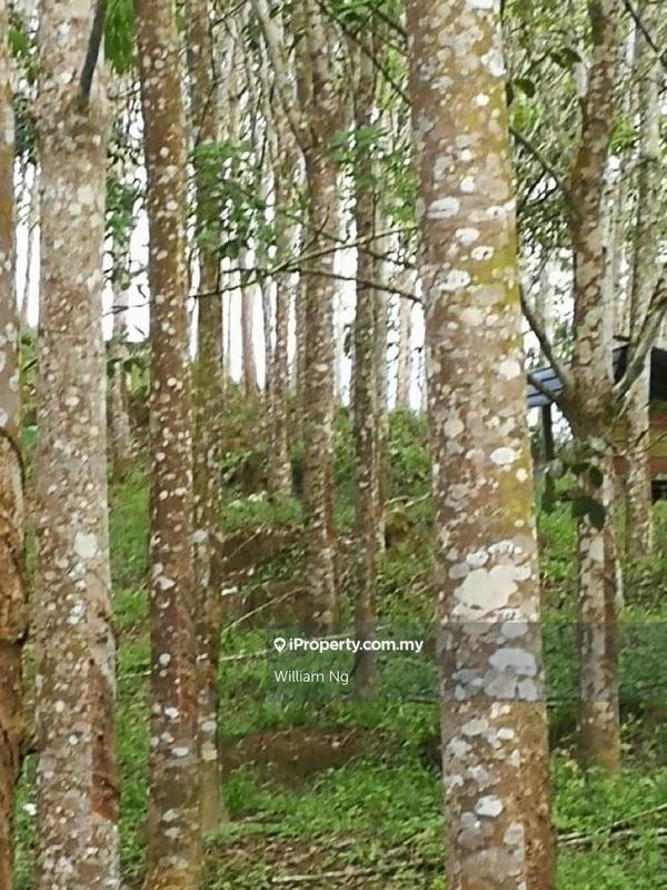 Tanah Pertanian untuk Dijual di Taman Jelebu, Kuala Klawang oleh William Ng - iProperty.com.my