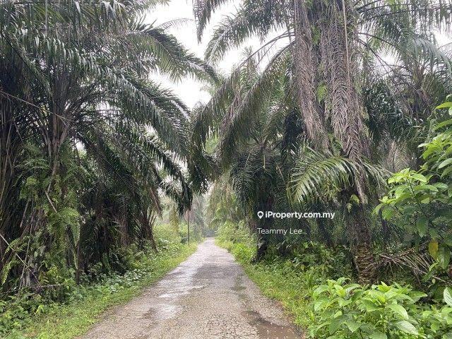 Agricultural Land for Sale in Meru, Klang by Teammy Lee - iProperty.com.my