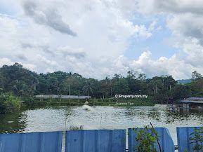 For Sale - Hulu Langat Agricultural Land For sale