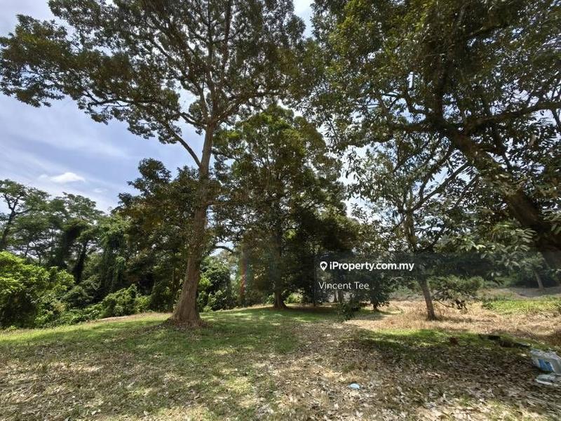 For Sale - 7 Acres Freehold Old Tree Durian Farm Kamung Binjai Kuala Lipis