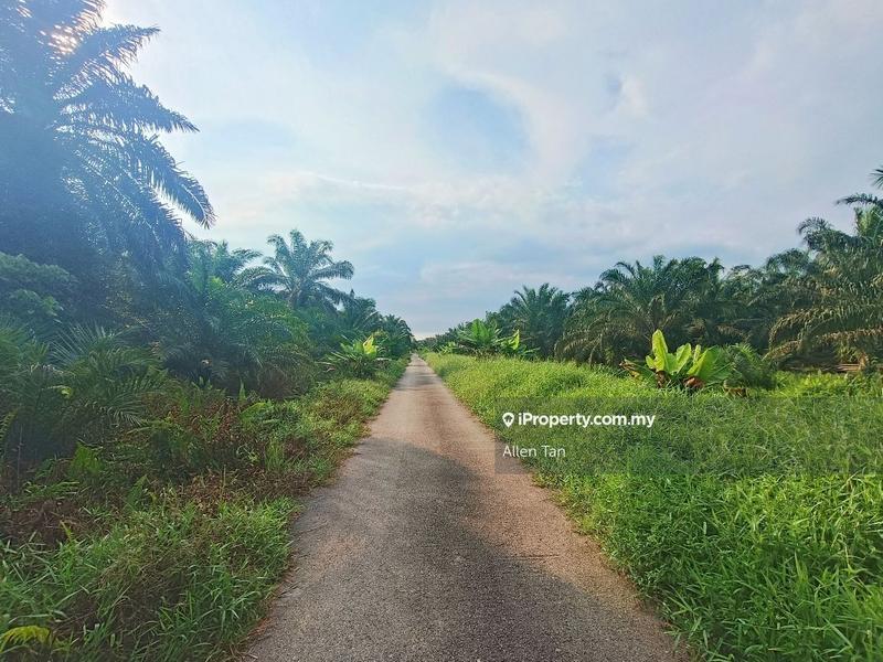 Agricultural Land for Sale in Nearby Pontian Perdana, Pontian by Allen Tan - iProperty.com.my