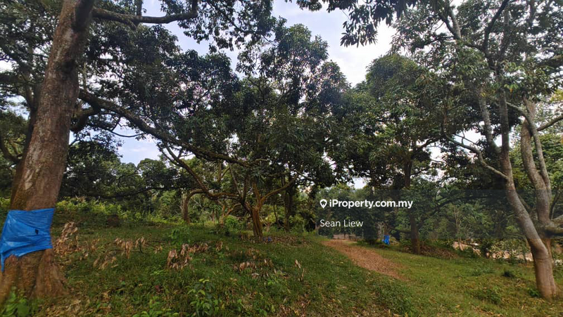 Tanah Pertanian untuk Dijual di Jasin , Melaka, Jasin oleh Sean Liew - iProperty.com.my