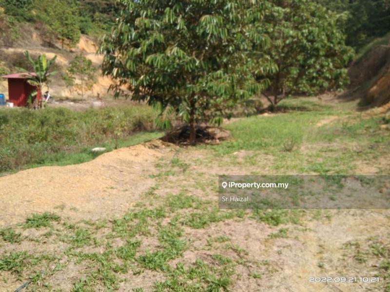 Agricultural Land for Sale in Tampin, Negeri Sembilan by Sr Haizal - iProperty.com.my