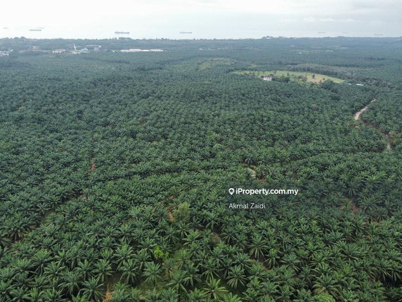 Tanah Perindustrian untuk Dijual di Melaka Ayer Keroh Jasin Alor Gajah, Melaka City oleh Akmal Zaidi - iProperty.com.my