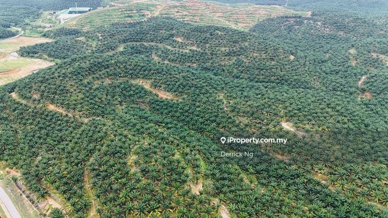 Tanah Pertanian untuk Dijual di Taman Kuala Ketil, Tawar oleh Derrick Ng - iProperty.com.my