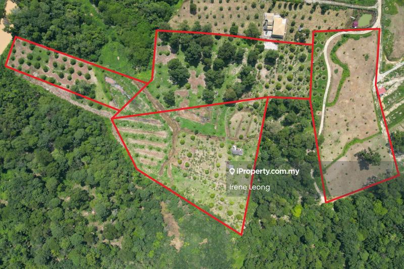 Agricultural Land for Sale in Karak, Pahang by Irene Leong - Exterior - iProperty.com.my