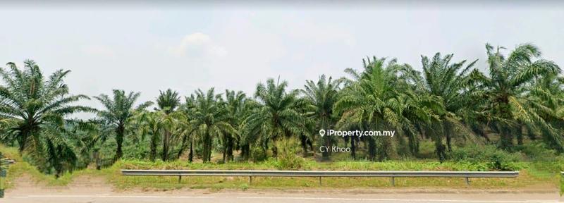 For Sale - Johor Segamat pogoh 1110 acres Mix deverlopment Land for SALE